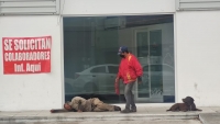 Vencen al Covid-19 m&aacute;s de 89 mil personas en Yucat&aacute;n&nbsp;