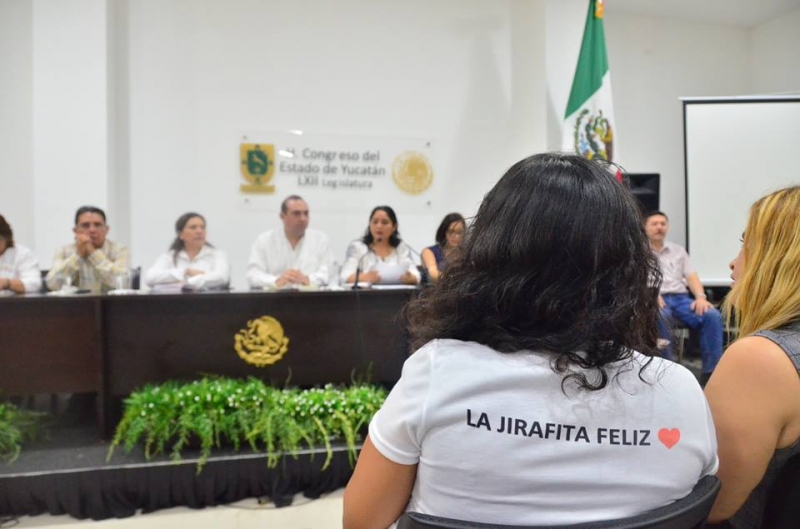 Legisladores acompañarán a representantes de guarderías en lucha