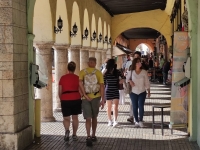 Alta movilidad en diciembre incrementa hospitalizaciones por Covid-19