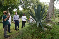 Alcalde Alejandro Ruz visita el Agavario de Xocl&aacute;n