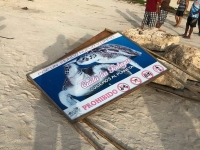 Retiran letreros del &aacute;rea de anidaci&oacute;n de tortugas