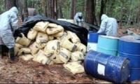 Millonario golpe al narcotráfico en Michoacán