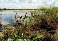 Inicia  Gobierno Federal censo a peque&ntilde;os productores afectados por ciclones
