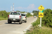 Colocan se&ntilde;alamientos para prevenir da&ntilde;os a los flamencos