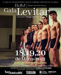 Se presentar&aacute; gala del Ballet Levitar en Yucat&aacute;n