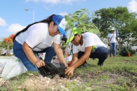 Participan vecinos de Los H&eacute;roes en jornada de arborizaci&oacute;n