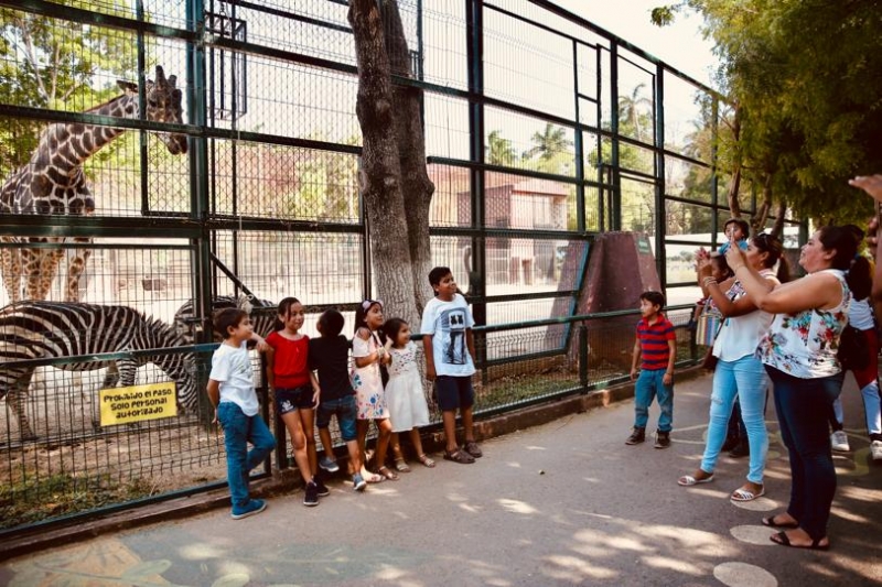 Zoológicos, listos para recibir elevada afluencia de visitantes
