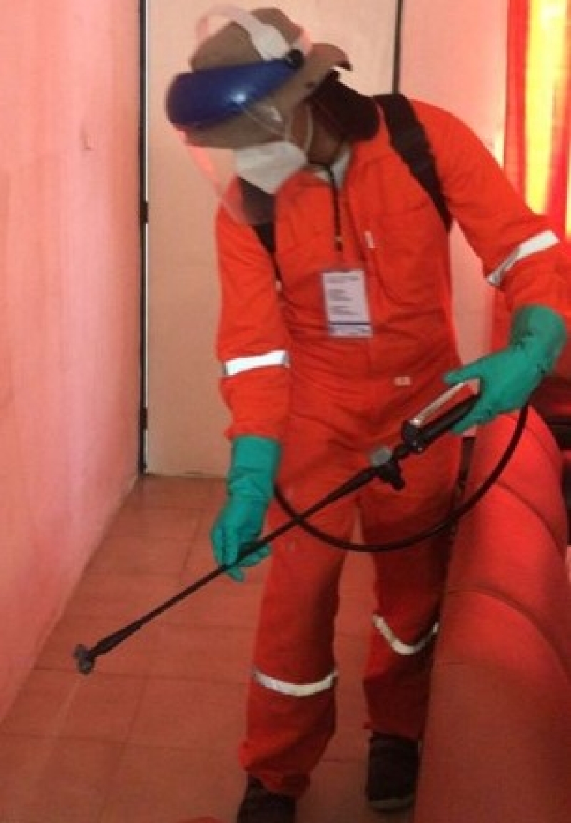 Especialista pide extremar medidas contra el mosquito Aedes aegypti