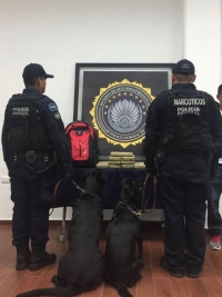 Aseguran 9 kilos de cocaína en Terminal de ADO