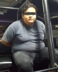 Detienen en la M&eacute;rida-Campeche a ladr&oacute;n de camioneta
