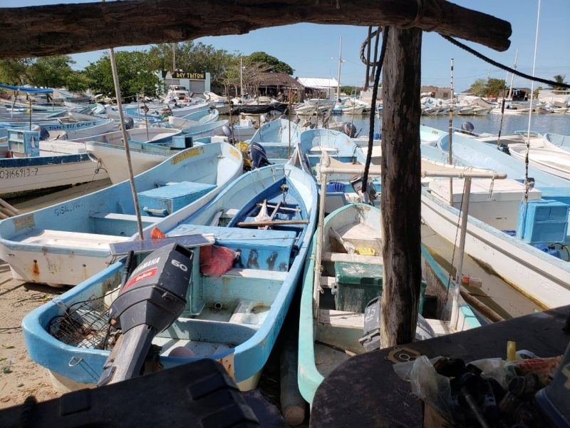 Buscan estrategias para reactivar cadena productiva del sector pesquero