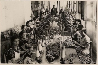 Fundamentales, los logros de las mujeres