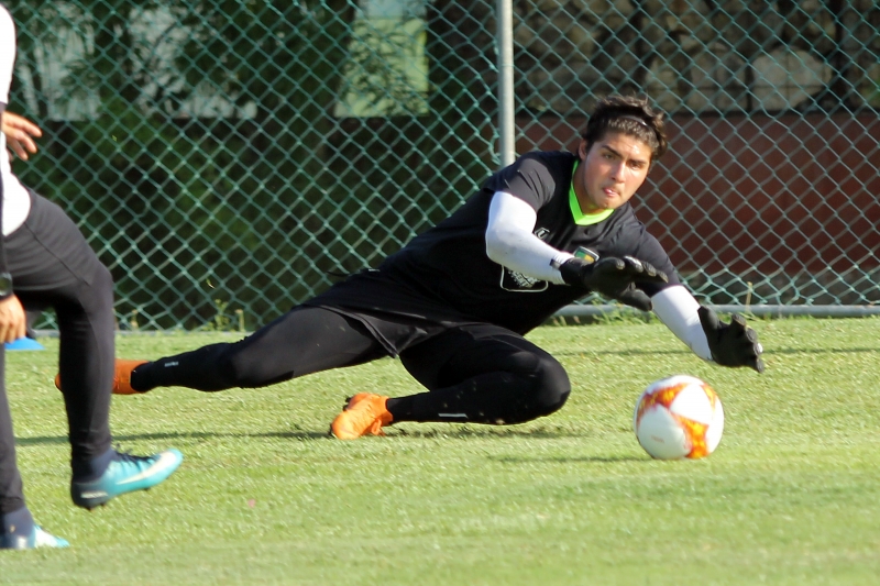 Gustavo Alcalá se suma a los Venados