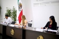 Convocan a Primer Per&iacute;odo Extraordinario de Sesiones