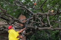 Tras paso de &ldquo;Grace&rdquo; reabrir&aacute;n El Centenario este mi&eacute;rcoles