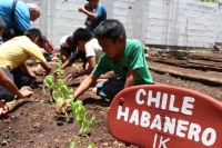 Implementan proyecto de tecnologías limpias en Yaxunah  