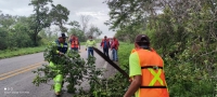 Paso de &ldquo;Grace&rdquo; no deja afectaciones relevantes en carreteras