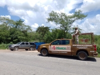 Aseguran predio en la M&eacute;rida-Canc&uacute;n por presunto huachicoleo&nbsp;