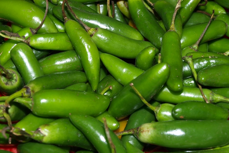 Estudian metabolismo del chile para aprovechar su potencial farmacológico