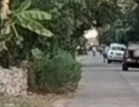 Investigan tiroteo con dos muertos en Dzilam González