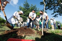 Se han sembrado cerca de 10 mil &aacute;rboles en Cruzada Forestal 2022