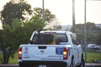 Aumentan los casos de dengue en Yucat&aacute;n