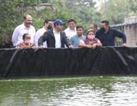 Producci&oacute;n de tilapia se consolida en el Oriente yucateco