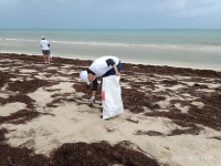 Estudiantes de la UADY realizan limpieza en Las Coloradas