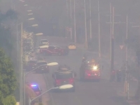 Controlado, incendio forestal en Tixcacal