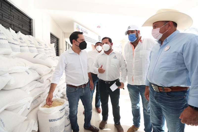 Vila Dosal entrega apoyos en Tizimín a productores afectados por "Grace"