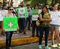 Legalizaci&oacute;n de la marihuana, en dos a&ntilde;os m&aacute;ximo: Roa