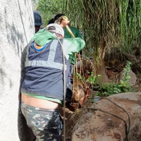 Rescatan a perro de &iacute;nterior de un pozo