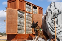 Aseguran elementos de la SSP droga en la M&eacute;rida-Campeche