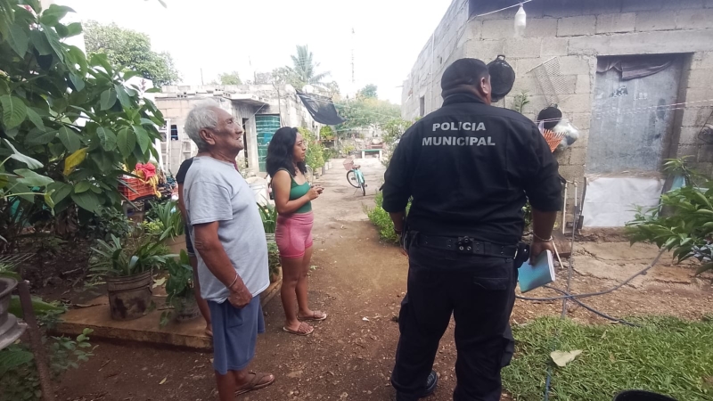 Abejas atacan a menor en Umán