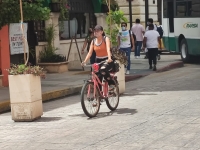 Coronavirus al alza; supera el Estado los 300 casos activos